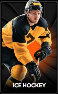 Ice hockey